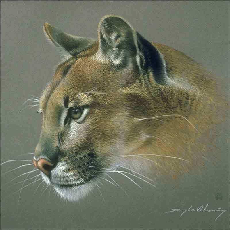 Cougar Study by Douglas Manning Ceramic Accent & Decor Tile 319013AT