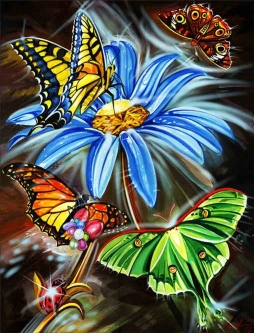 Butterflies are Free by Fernando Agudelo Accent & Decor Tile FAA034AT