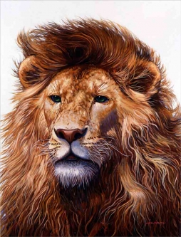 Lion by Jack White Accent & Decor Tile JWA010AT