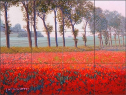 Roadside Poppies by Jack White Ceramic Tile Mural - JWA019