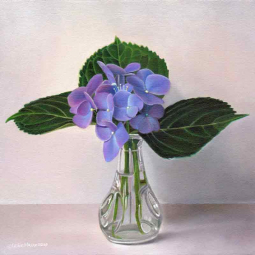 Hydrangea Bud Study by Leslie Macon Accent & Decor Tile LMA023AT