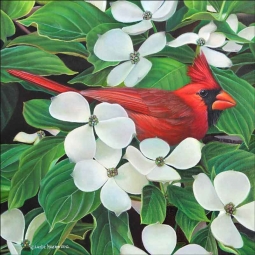 Cardinal in Dogwood Blossoms by Leslie Macon Accent & Decor Tile LMA036AT