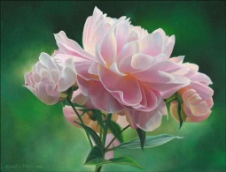 Peony Study I by Leslie Macon Accent & Decor Tile LMA060AT