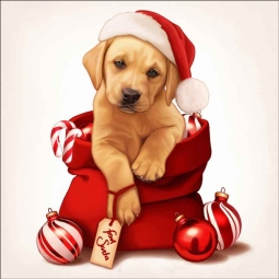 Christmas Puppy 9 by Maryline Cazenave Accent & Decor Tile MC2-008iAT