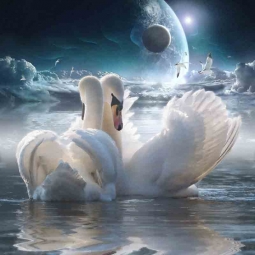 Celestial Swans by Steve Hunziker Accent & Decor Tile OB-SH841AT
