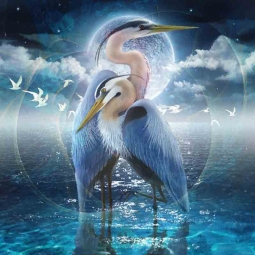 Celestial Egrets by Steve Hunziker Accent & Decor Tile OB-843AT