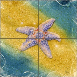 Jefferson Starfish Rocks - Crane Beach by Brian Cody Ceramic Tile Mural POV-BCA003