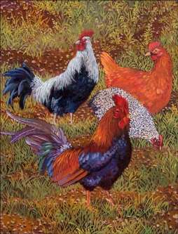 Chicken Feed by John Powell Accent & Decor Tile POV-JP012AT
