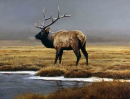 Into the Mist by Edward Aldrich Accent & Decor Tile RW-EA007AT