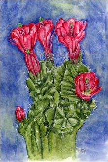 Cacti - Claret Cup by Sara Mullen Ceramic Tile Mural SM021
