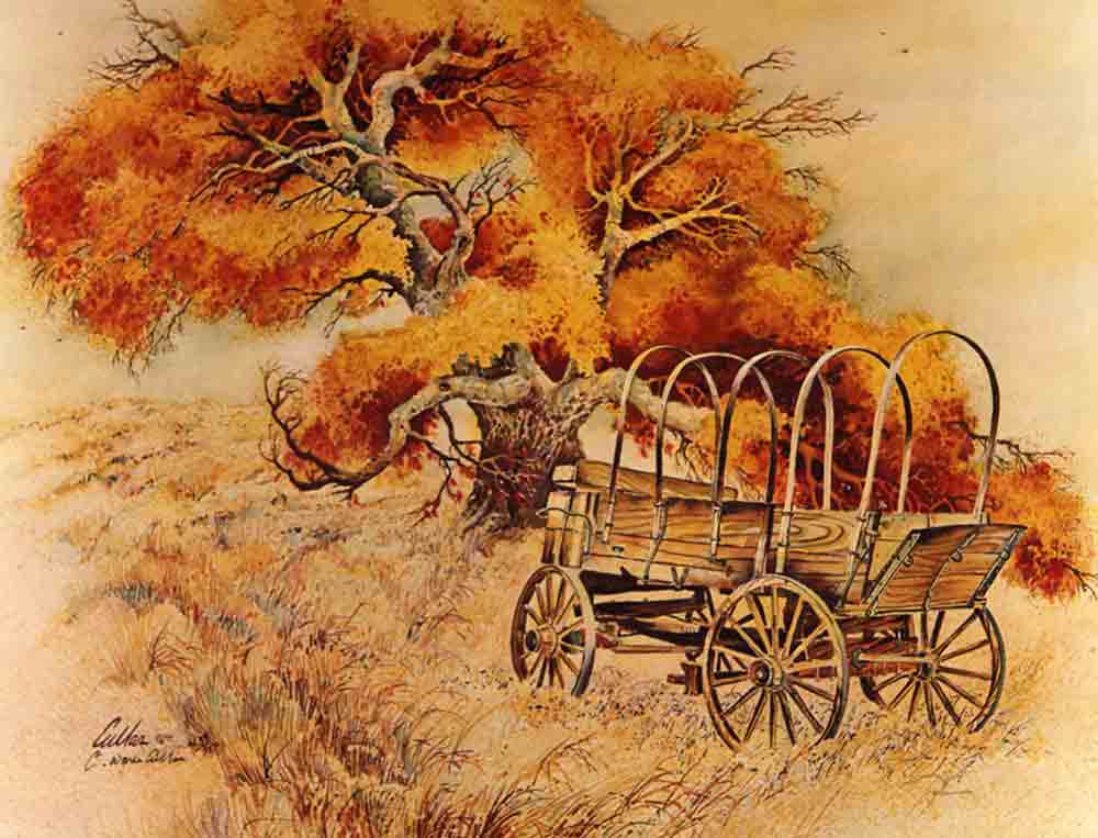 Autumn West by Warren Cullar Accent & Decor Tile WC116AT