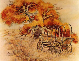 Autumn West by Warren Cullar Accent & Decor Tile WC116AT