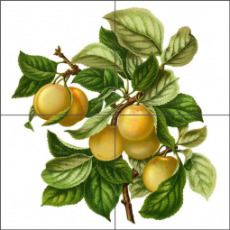 Prune by Abraham Wendel Ceramic Tile Mural AJW001