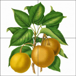Japanese Pears by Abraham Wendel Ceramic Tile Mural AJW004
