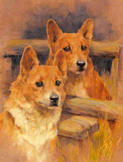 Two Corgis by Arthur Wardle Ceramic Accent & Decor Tile AW006ATCS