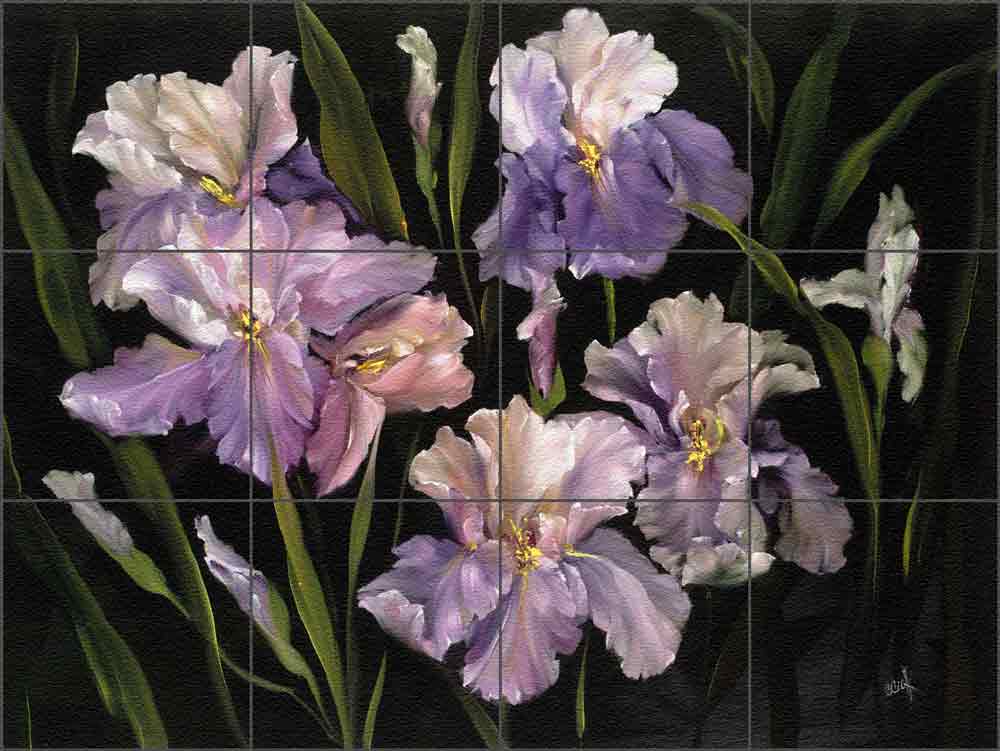 Collection of Irises by Carolyn Cook Glass Wall & Floor Tile Mural 24" x 18" - CC005