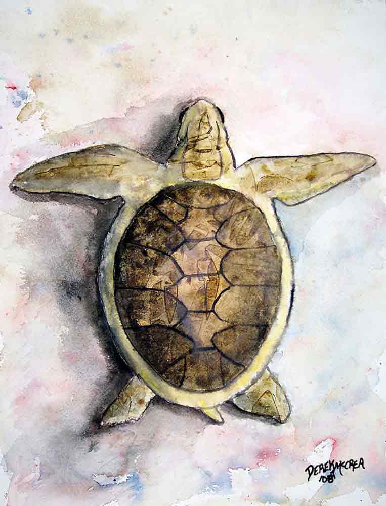 Sea Turtle by Derek McCrea Ceramic Accent & Decor Tile DMA018AT