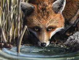 Watering Hole by Justin Sparks Ceramic Accent & Decor Tile JSA005AT