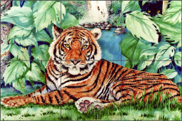 Tiger by Jan Taylor Ceramic Tile Mural JTA016