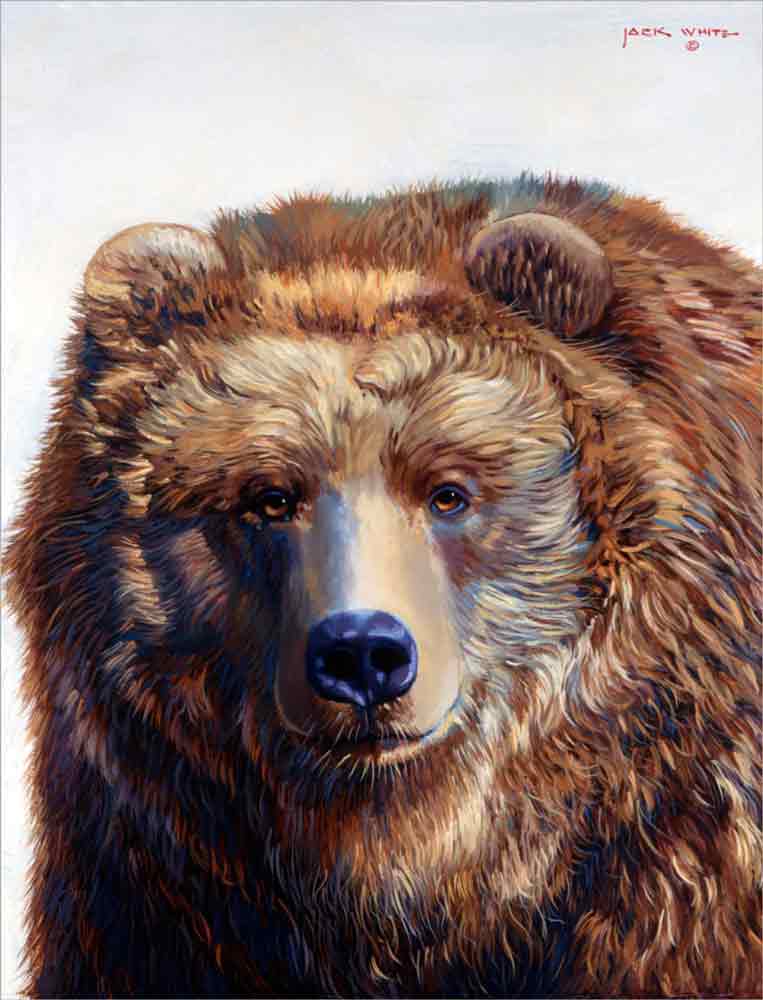 Grizzly Bear by Jack White Ceramic Accent & Decor Tile JWA007AT