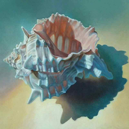 Conch Shell by Leslie Macon Ceramic Accent & Decor Tile LMA040AT