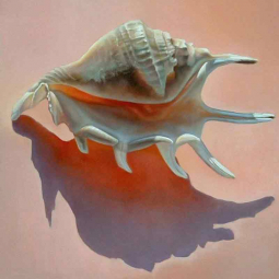 Murex Shell by Leslie Macon Ceramic Accent & Decor Tile LMA041AT