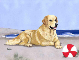 Golden at the Beach by M K Zeppa Ceramic Accent & Decor Tile MKZ006AT