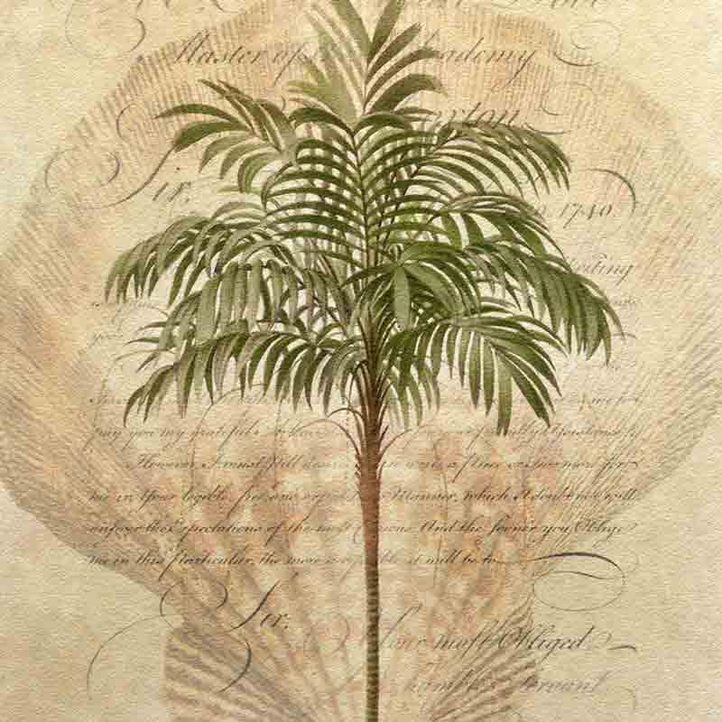 Subdued Tropic 1 by Steve Hunziker Floor Tile Art OB-SH914