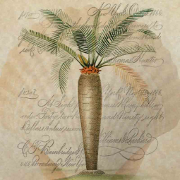 Subdued Tropic 3 by Steve Hunziker Ceramic Accent & Decor Tile OB-SH916AT