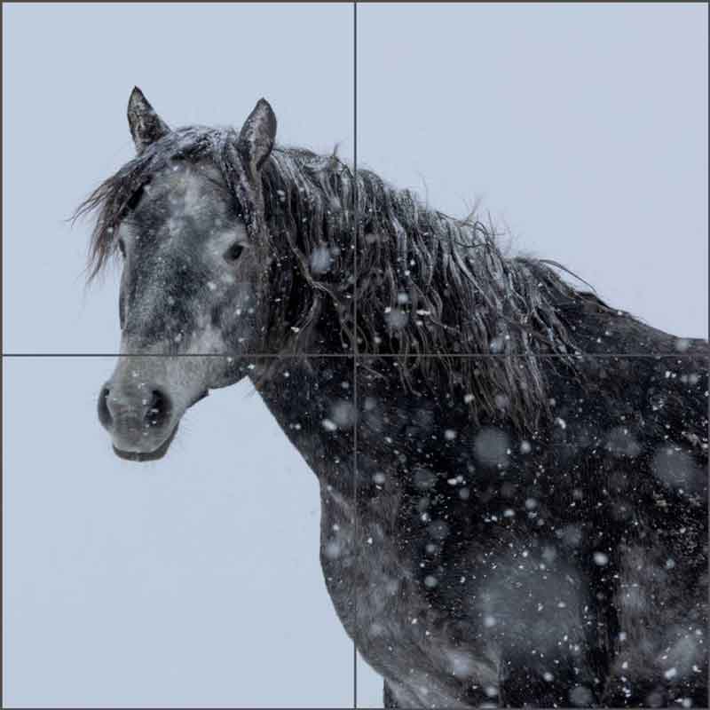 Young Snow Stallion by Carol Walker Ceramic Tile Mural POV-CWA015