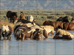 Meet Me at the Waterhole by Carol J Walker Ceramic Tile Mural POV-CJW003
