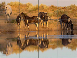 Colorful Family at the Waterhole by Carol Walker Ceramic Tile Mural POV-CWA018