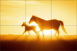 Hope by Carol J Walker Ceramic Tile Mural POV-CJW005