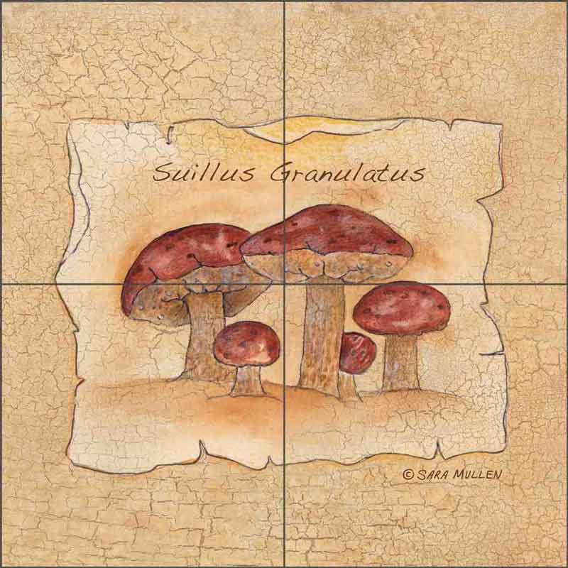 Mushroom 8 by Sara Mullen Ceramic Tile Mural SM075