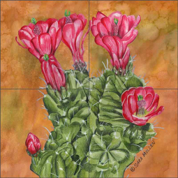 Claret Cup Cactus by Sara Mullen Ceramic Tile Mural SM107
