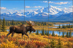 Alaskan Autumn Moose by AOT Designs Ceramic Tile Mural AOT145