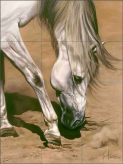 Territory by Kim McElroy Ceramic Tile Mural KMA083
