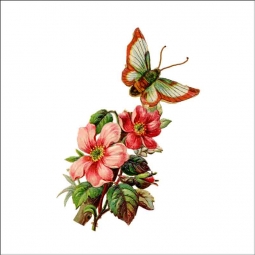 Vintage Butterfly 138 by DP Art Ceramic Accent & Decor Tile ABF138AT