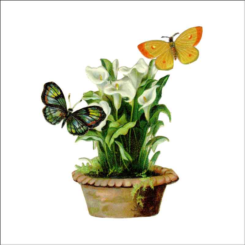 Vintage Butterfly 273 by DP Art Ceramic Accent & Decor Tile ABF273AT