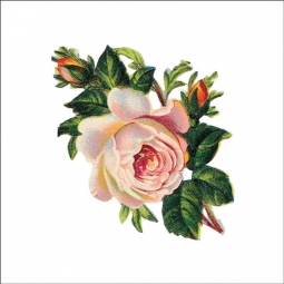 Vintage Flowers 097 by DP Art Ceramic Accent & Decor Tile AFL097AT