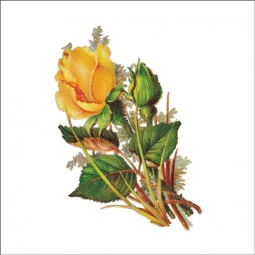 Vintage Flowers 113 by DP Art Ceramic Accent & Decor Tile AFL113AT
