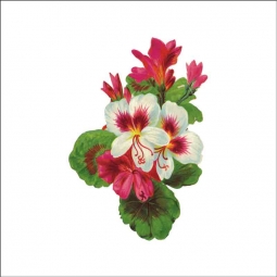Vintage Flowers 120 by DP Art Ceramic Accent & Decor Tile AFL120AT