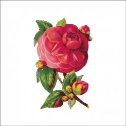 Vintage Flowers 163 by DP Art Ceramic Accent & Decor Tile AFL163AT