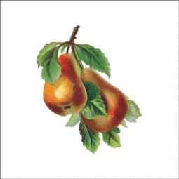 Vintage Fruit 094 by DP Art Ceramic Accent & Decor Tile AFR094AT
