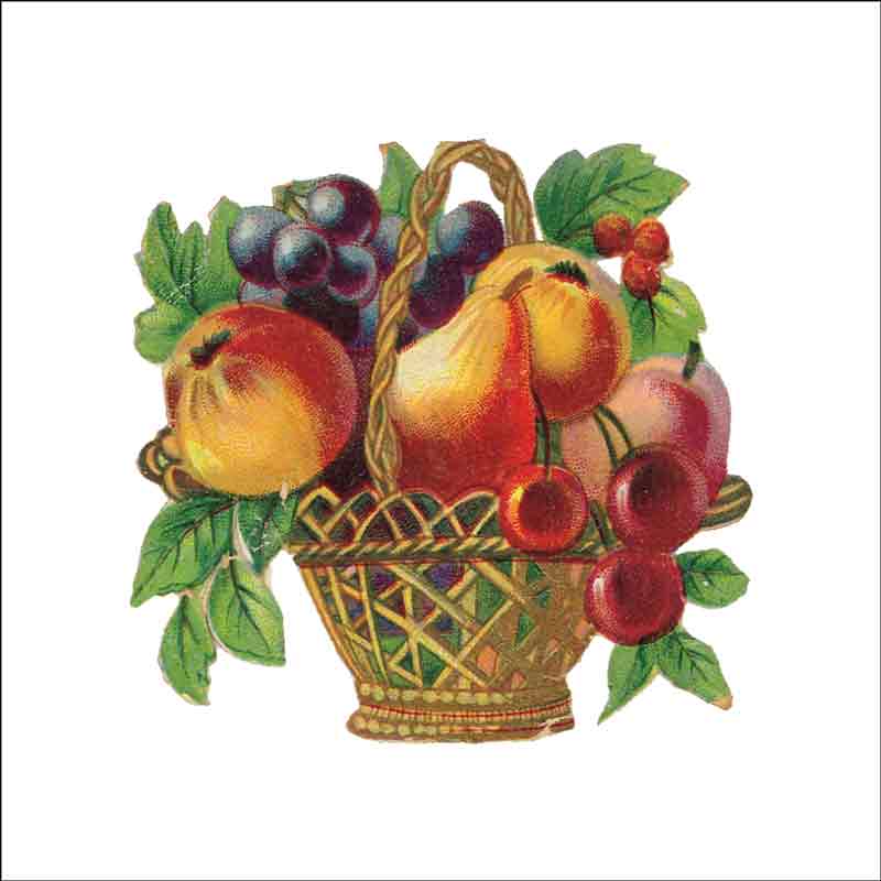 Vintage Fruit 106 by DP Art Ceramic Accent & Decor Tile AFR106AT