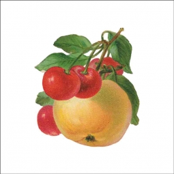 Vintage Fruit 125 by DP Art Ceramic Accent & Decor Tile AFR125AT