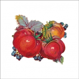 Vintage Fruit 151 by DP Art Ceramic Accent & Decor Tile AFR151AT