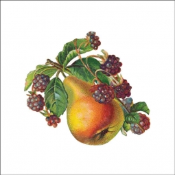 Vintage Fruit 160 by DP Art Ceramic Accent & Decor Tile AFR160AT