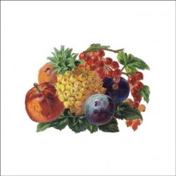 Vintage Fruit 164 by DP Art Ceramic Accent & Decor Tile AFR164AT