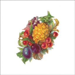 Vintage Fruit 166 by DP Art Ceramic Accent & Decor Tile AFR166AT